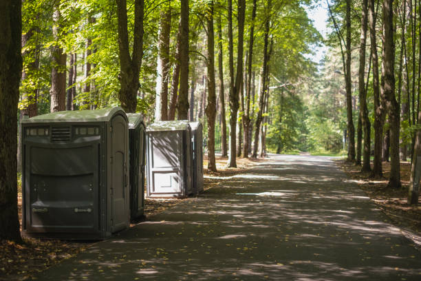 Best Local porta potty services  in Dowagiac, MI